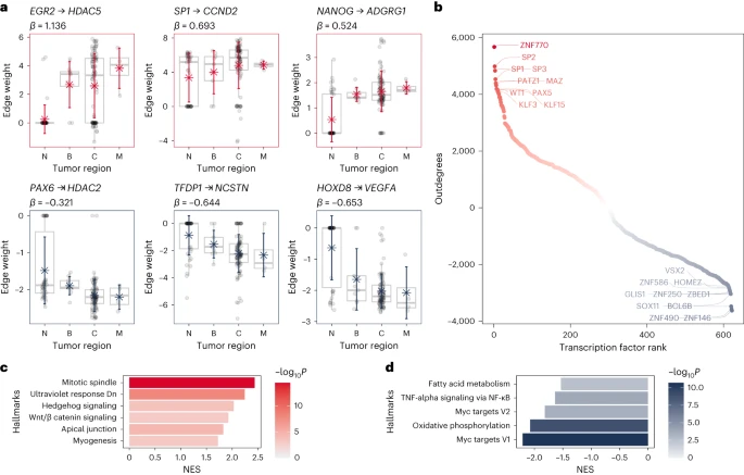 Population-level comparisons of gene regulatory networks modeled on high-throughput single-cell transcriptomics data